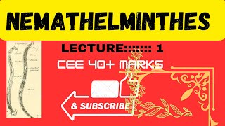 Phylum Nemathelmintheslecture 1 by best teacher and best notes [upl. by Fulmis379]