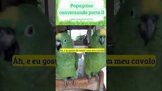 🦜papagaios conversando parte ll 🦜 [upl. by Allekim28]