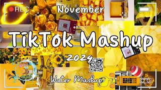 TikTok Mashup November 2024 💦not clean💦 [upl. by Grant]