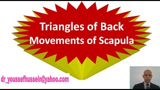 9 Triangle of auscultation  Lumbar triangle Triangle of safety movements of scapula [upl. by Evelinn]