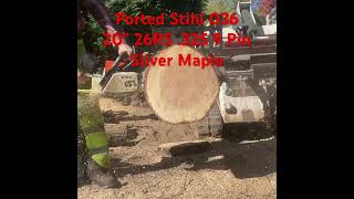 Ported stihl 036 20” bar stihl 26RS 325 9 pin cutting sliver maple stihl chainsaw stihlchainsaw [upl. by Luthanen]