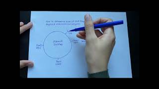 How to determine DNA fragment sizes from plasmid digested with restriction enzymes [upl. by Ayek901]