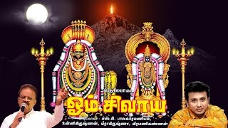 Om Shivaya  ஓம் சிவாய  Sruthilaya  ஸ்ருதிலயா [upl. by Utimer]