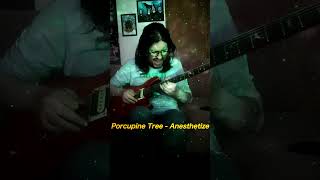 Porcupine Tree  Anesthetize guitar solo cover [upl. by Roeser]