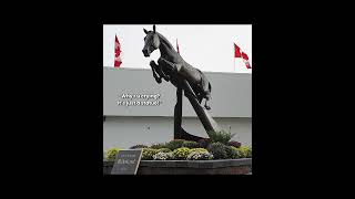 RIP HICKSTEAD 💔 Edited by HarlsFavFan [upl. by Allicerp]