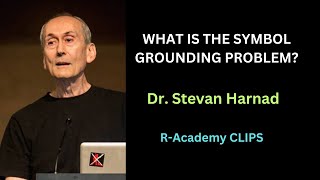 What Is The Symbol Grounding Problem [upl. by Lehcer891]