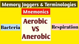 Aerobic vs AnerobicAerobic Bacteria Vs Anerobic Bacteria MnemonicsAerobic Respiration vs Anerobic [upl. by Shore854]