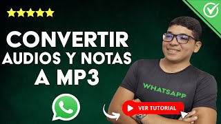 Cómo CONVERTIR AUDIOS y NOTAS de VOZ de WhatsApp a MP3 en Android  🎵​ Con y sin Aplicaciones ​🎵​ [upl. by Benson243]