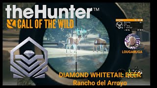 💎Diamond Whitetail Deer 30💎Rancho del Arroyo [upl. by Emeline]