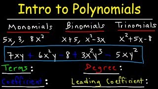 Polynomials  Classifying Monomials Binomials amp Trinomials  Degree amp Leading Coefficient [upl. by Onairelav]