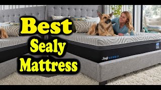 Sealy Mattress Reviews Consumer Reports [upl. by Forbes148]