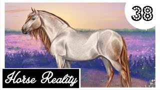 Horse Reality HR Eine WUNDERSCHÖNE Stute 🥰 Lets Play 38 DEUTSCH [upl. by Chenee]