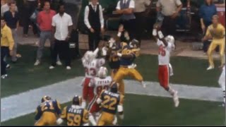 NFL Every Successful Hail Mary Touchdown [upl. by Meara]