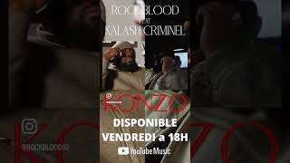 Rock blood ft kalash criminel konzo extrait [upl. by Ejroj]