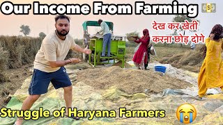 Our INCOME From FARMING 🌾  Struggle of a Farmer in Haryana 😭 [upl. by Yrohcaz328]