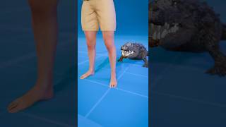 How To Escape An Alligator Death Roll 😨  Melon Playground alligator [upl. by Norek]