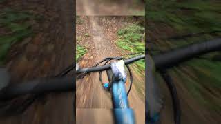 Muddy Danbury MTB Trails [upl. by Eelame]