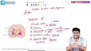 5 Parkinsons Disease Pathology  USMLE Step 1 [upl. by Downes]