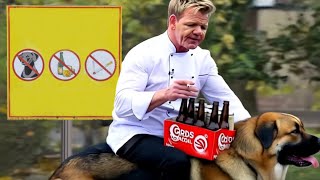 Gordon Ramsay being a menace to Society [upl. by Rabah]