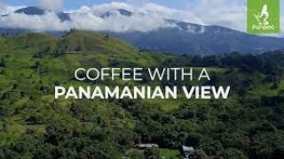 Coffee with a Panamanian View [upl. by Anneis]