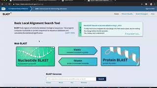 Analyzing Gene Sequence Results with BLAST [upl. by Airbas]