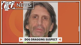 Florida man accused of dragging dog from truck [upl. by Oiramaj]