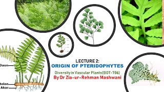 Lecture 2 Origin of Pteridophytes [upl. by Felice]