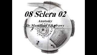 08 ScleraampLimbus part2 الكفراوي أناتومى Elkafrawy Anatomy Basics [upl. by Adon338]