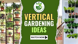 Vertical Gardening Ideas  Ideas for Vertical Gardens to Take Your Garden to New Heights [upl. by Court]