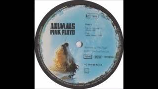 Pink Floyd  Dogs Vinyl [upl. by Annairt]