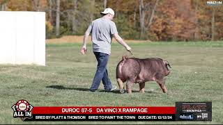 DUROC 875  quotAll Inquot Bred Gilt Sale  Nov 16th 2024 [upl. by Enirok]