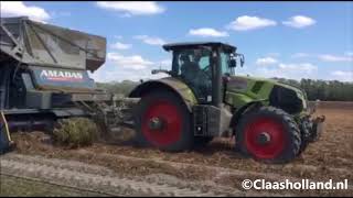 Pinda’s oogsten in USA  Peanut harvest in the USA [upl. by Aeriell]