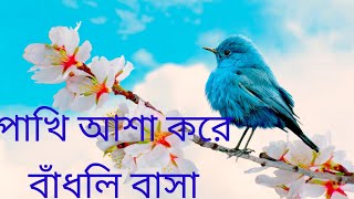 pakhi asha kore badli basaউড়ে গেল বৈশাখীতে আর তো ফাগুন এলো না [upl. by Zerk833]