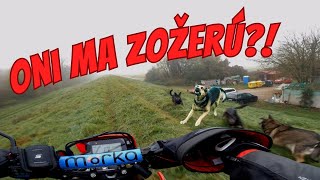 Test zimných doplnkov na Motorku vs Psy [upl. by Wawro]