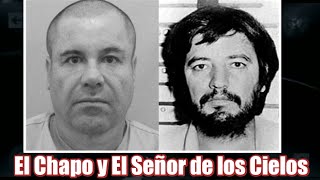 El Chapo y El Señor de los Cielos [upl. by Ayiak]