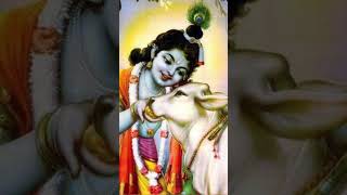 Chhoti Chhoti Gaiya cutekrishna status shortsfeed trendingvideo trending [upl. by Delia]