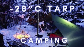 28°C Winter Tarp Camping [upl. by Pier]