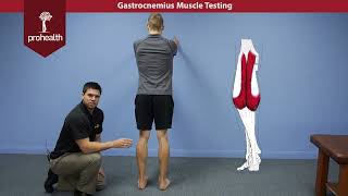 Gastrocnemius Muscle Test Dr Vizniak Muscle Manual [upl. by Jody]