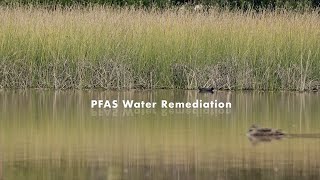 PFAS Water Remediation [upl. by Fontes]