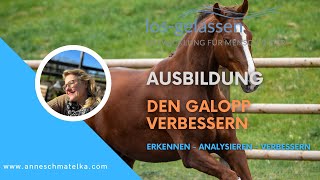 Probleme im Galopp  leicht gelöst [upl. by Kalmick263]