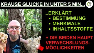 Die Krause Glucke in unter 5 Minuten vorgestellt und erklärt mit Verwechslungsgefahren [upl. by Aronal]