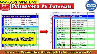 How To Renumber Activity IDs For All Activities In An Ascending Order In Primavera P6  dptutorials [upl. by Laval]