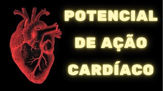 Potencial de ação cardíaco e contração do coração – Fisiologia Humana [upl. by Tergram191]