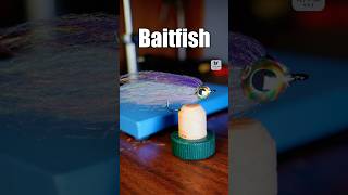 Baitfish Fly  Fly Tying Tutorial [upl. by Idolah281]