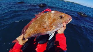 Kayak Fishing The Coromandel Mussel Farms For Snapper amp Other Tablefish  Spring 2018 [upl. by Barde]