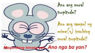 Moral Turpitude amp The Crimes Involving Moral Turpitude [upl. by Yrod886]