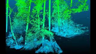 Groenlo LiDAR scan forest [upl. by Flo]