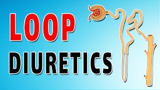 Furosemide Mechanism and Side Effects [upl. by Salli]