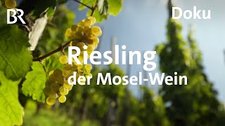 Deutscher Wein an der Mosel  eine RieslingReise  freizeit  Schmidt Max  BR  Doku [upl. by Atirahs]