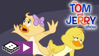 The Tom and Jerry Show  Duckling Love Story  Boomerang UK [upl. by Nwahsor]